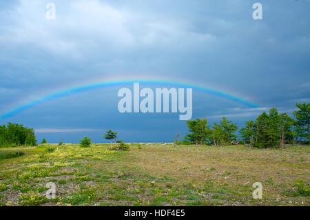 wide rainbow over the forest after the rain Stock Photo