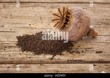closeup of dried poppy pod and seeds on wooden background Stock Photo