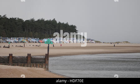 Pine trees loom behind brightly painted beach huts on a gloomy, misty day on the beach.  Wells-next-the-Sea, Norfolk, UK Stock Photo