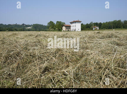 cut hay field and house in the background, Italy Stock Photo