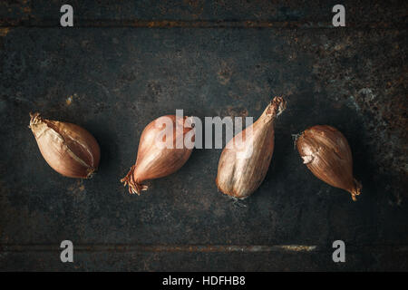 Shallots  on the  old metal background Stock Photo
