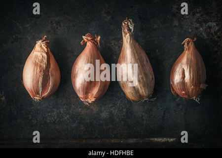 Shallots  on the  old metal background  horizontal Stock Photo