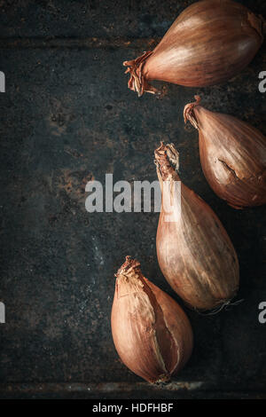 Shallots  on the  old metal background  vertical Stock Photo