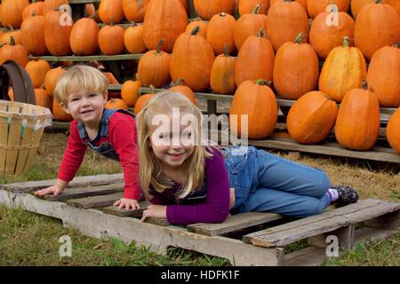 adorable brother and sister siblings wearing overalls sitting in front of pumpkins at farm during fall autumn season Stock Photo