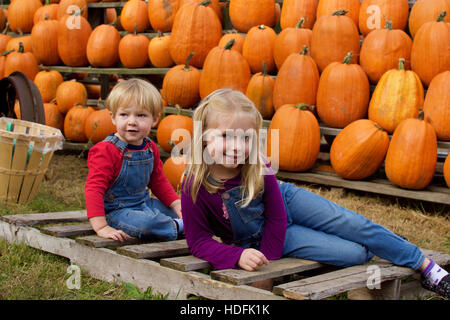 adorable brother and sister siblings wearing overalls sitting in front of pumpkins at farm during fall autumn season Stock Photo