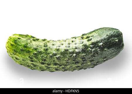 Cucumber on the white background Stock Photo