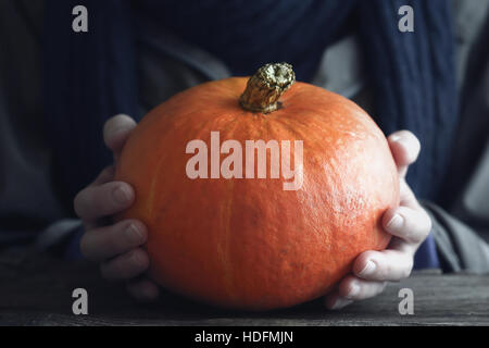 Orange pumpkin in the hand horizontal Stock Photo