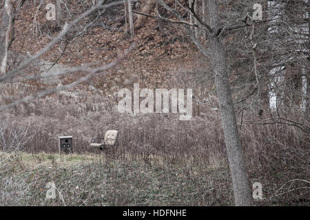 An abandoned house tagged with graffiti sits in the woods adjacent the Thames River in Southwestern Ontario Canada. Stock Photo