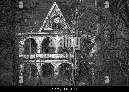 An abandoned house tagged with graffiti sits in the woods adjacent the Thames River in Southwestern Ontario Canada. Stock Photo