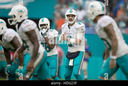 FILE - In this Oct. 14, 2018, file photo, injured Miami Dolphins  quarterback Ryan Tannehill cheers his team during the second half of an NFL  football game against the Chicago Bears, in