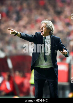 Lisbon, Portugal. 11th Dec, 2016. Sporting's coach Jorge Jesus reacts during the Portuguese League soccer match between SL Benfica and Sporting CP at Luz stadium in Lisbon, Portugal, Dec. 11, 2016. Benfica won 2-1. © Zhang Liyun/Xinhua/Alamy Live News Stock Photo