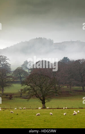 Mist and fog in Nannerch,  Flintshire with fog over the Clwydian Range Hills that borders Flintshire and Denbighshire. Stock Photo