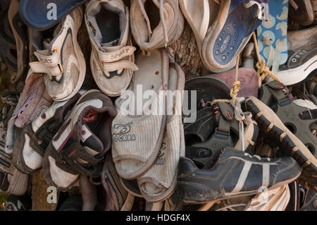 Discarded Shoes nailed to Shoe Tree after hiking in Cape Scott ...