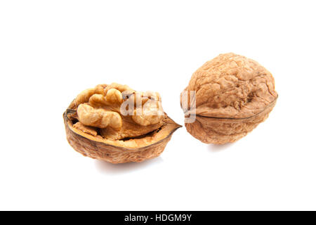 Two fresh walnuts on a white background Stock Photo