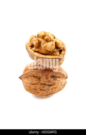 Two fresh walnuts on a white background Stock Photo