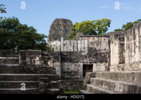 Central Acropolis complex in the UNESCO World Heritage archeological site of Tikal National Park in Guatemala.  The roof comb of Temple V is visible i Stock Photo