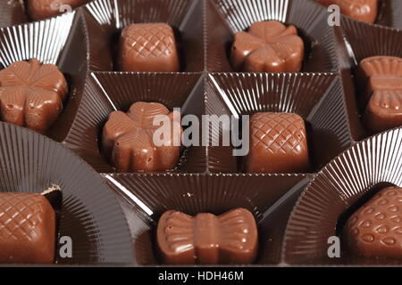 Chocolate Pralines in Box Stock Photo