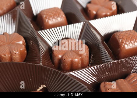 Chocolate Pralines in Box Stock Photo