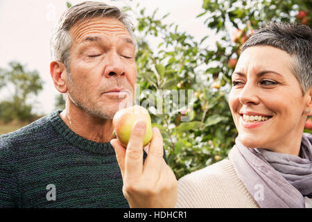 Woman holding apple out for man in orchard Stock Photo