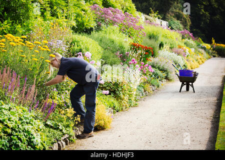 Two gardeners working on a mixed border of flowers at Waterperry Gardens in Oxfordshire. Stock Photo