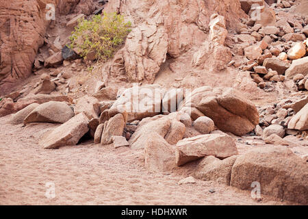 Gorge colored canyon in Egypt at the top near the edge of the cliff. Stock Photo
