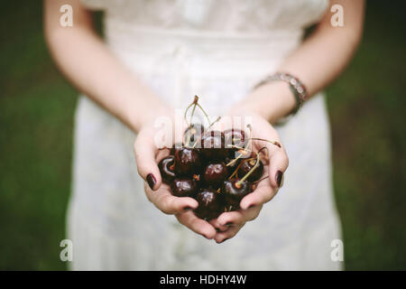 Female hands holding heap of sweet cherries close-up, selective focus Stock Photo