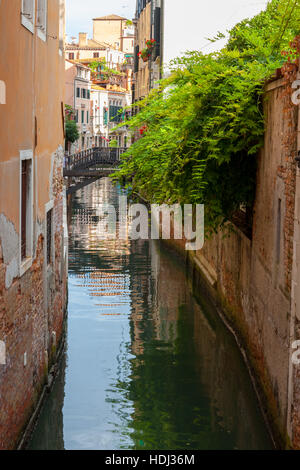 Vibrant  buildings along tranquil canals in Venice.