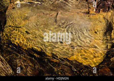 Vortex rings in this spring stream creates a cool shadow effect Stock Photo