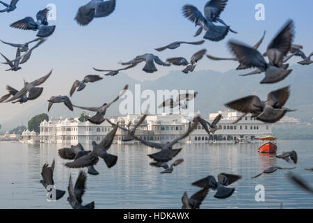 Udaipur Lake Palace, Udaipur, Rajasthan, India with pigeons in flight Stock Photo