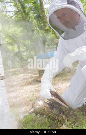 Beekeeper using smoker Stock Photo