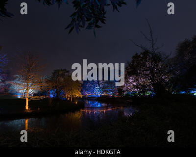 light painting trees lake bridge night Stock Photo