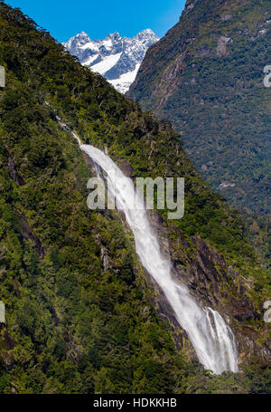 Lady Bowen Falls plunging down through temperate rain forest at Milford Sound in Fjordland South Island New Zealand Stock Photo