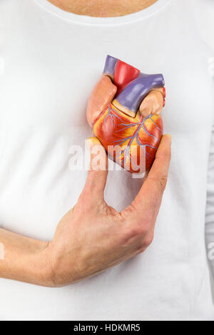 Female hand showing artificial heart model in front of human body Stock Photo