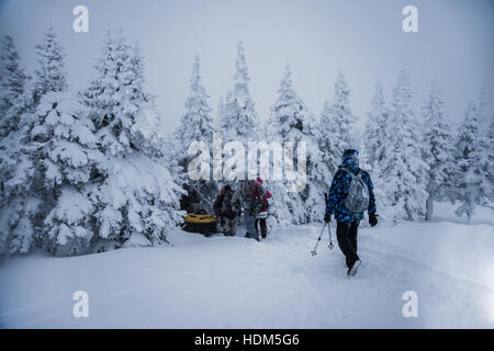Young people snowshoeing. Snowmobile  accelerating in snowy forest trees. rear back view. trees coverd ice and frost. team of friend, croup of tourist Stock Photo