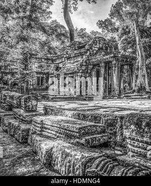 Lithographic-type black and white view of the platform at the East entrance to Ta Prohm temple complex at Siem Reap, Cambodia. Stock Photo