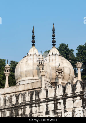 Domes of Moti Masjid (Pearl Mosque), Red Fort, Old Delhi, India Stock Photo