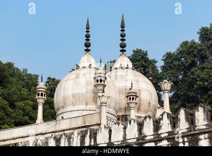 Domes of Moti Masjid (Pearl Mosque), Red Fort, Old Delhi, India Stock Photo