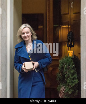 London, UK. 13th December 2016.  Liz Truss Justice Secretary, leaves 10 Downing Street Credit:  Ian Davidson/Alamy Live News Stock Photo