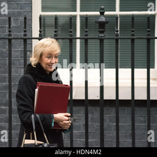 London, UK. 13th December 2016.  Andera Leadsom, Environment Secretary, leaves 10 Downing Street Credit:  Ian Davidson/Alamy Live News Stock Photo