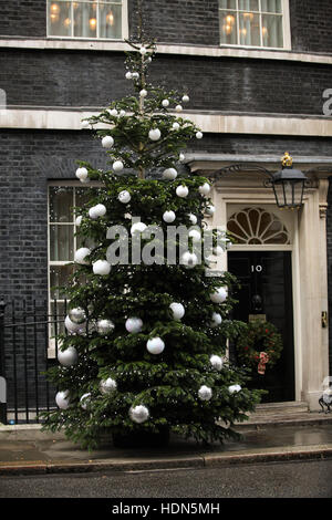 Downing Street, London, UK. 13th Dec, 2016. Christmas tree outside No 10 Downing Street. Credit:  Dinendra Haria/Alamy Live News Stock Photo