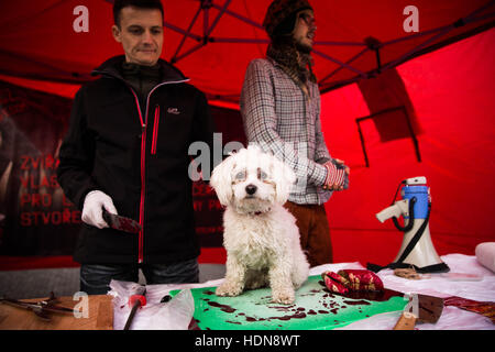 Prague, Czech Republic. 10th Dec, 2016. Activistic event for the rights of the animals, christmas market that happened in Prague was made by a movement 269 that is spreading veganism and is organizing controversal and shocking events worldwide.December 10th, 2016. Andel, Prague. © David Tesinsky/ZUMA Wire/Alamy Live News Stock Photo