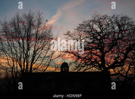 Wimbledon, London, UK. 14th Dec, 2016. The silhouetted shape of trees in Wimbledon during a firesky sunrise creating stunning colours Credit:  amer ghazzal/Alamy Live News Stock Photo