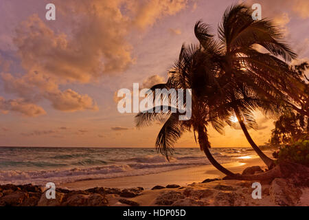 Sunset at Dover Beach, St. Lawrence Gap, South Coast, Barbados, Caribbean. Stock Photo