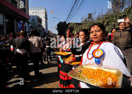 Kathmandu, Nepal. 13th Dec, 2016. People from Newar community, offering flowers to participants during a parade of Yomari Punhi and 13th National Jyapu Diwas, the Newari society organised a rally across the Basantapur Durbar Square, Kathmandu, Nepal on Tuesday, December 13, 2016. The rally reflected several culture and tradition of Newar society. Jatras and festivals are part of life for Newar community. Credit:  Narayan Maharjan/Pacific Press/Alamy Live News Stock Photo