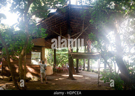 An open bamboo-and-palm-thatch restaurant pavilion stands on stilts among the trees of the Banana Island Resort, Sierra Leone, a man photographing the scene from below. Stock Photo