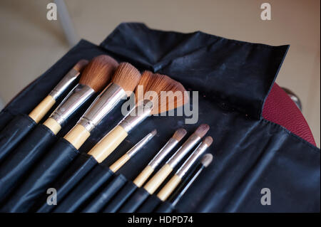 makeup brushes in black leather case Stock Photo