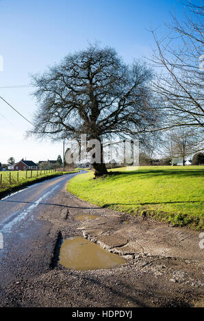 Large pot-hole filled with water in a narrow Wiltshire lane Stock Photo