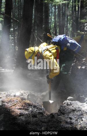 A U.S. National Guard soldier digs up dirt to help extinguish a small fire during the Humboldt Lightning Fire near the mountains of Wildcat Butte August 9, 2015 near Brock Creek, Humboldt County, California. Stock Photo