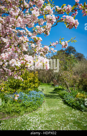 Highdown Gardens near Worthing, West Sussex, UK Stock Photo