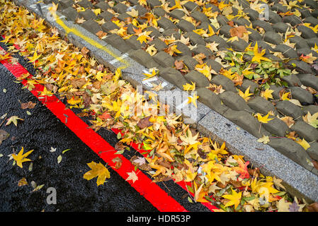 road with leafs no parking red road stripes curb and anti walk paving stones Stock Photo